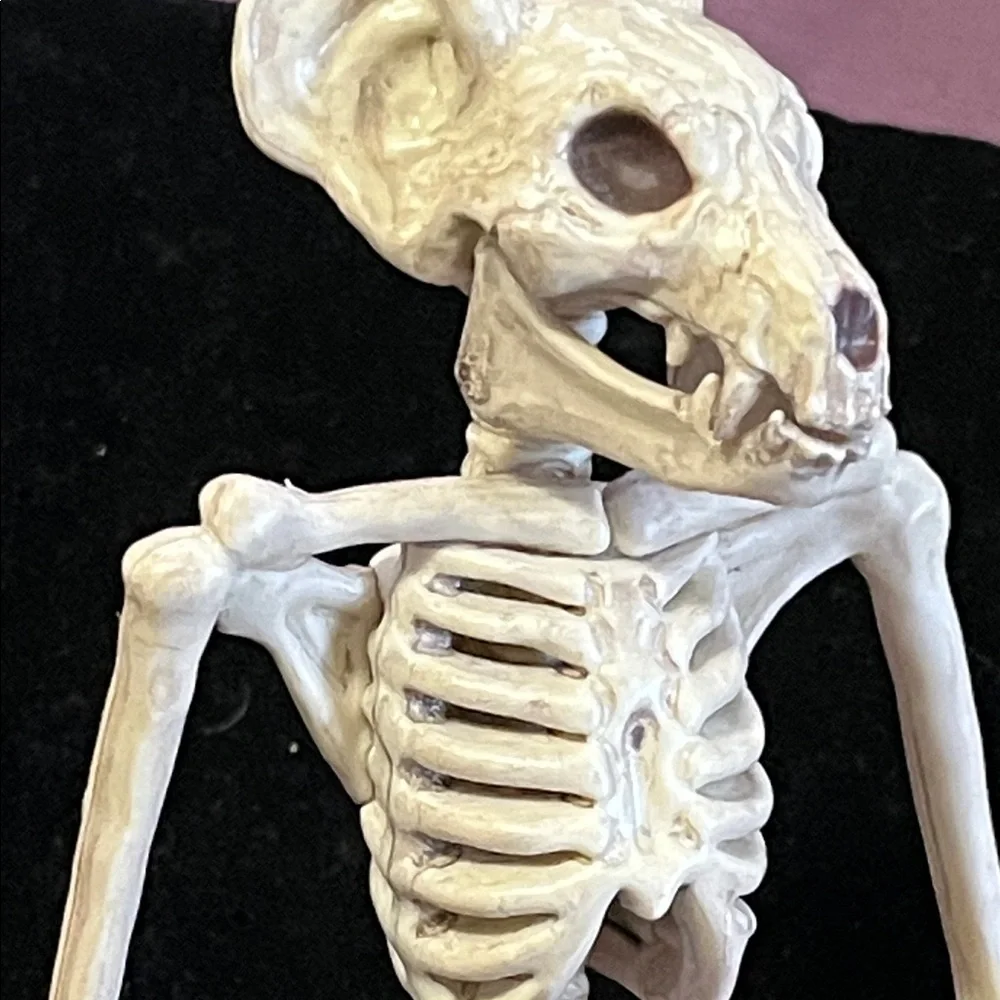 Natural Bat Skeleton Reptile Decor - Cream